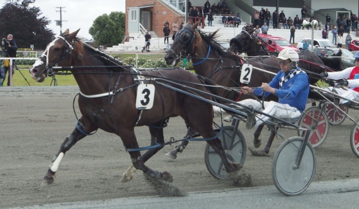 Southern harness racing snippets