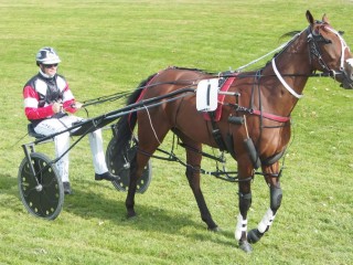 Bryce’s Meddle wins Autumn Cup