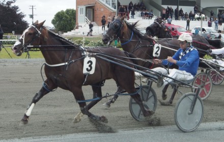 Southern harness racing snippets
